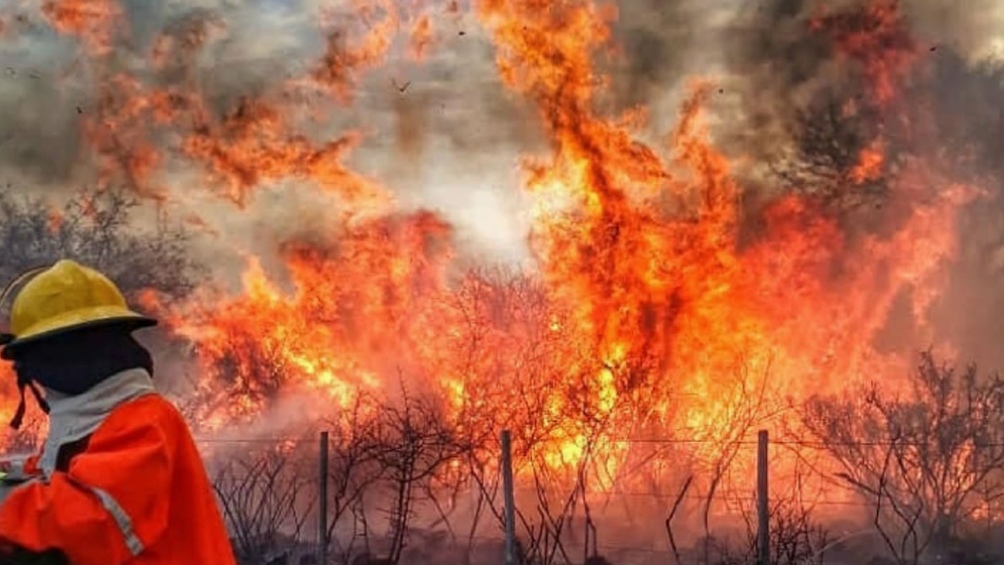 Más de 200 bomberos con la ayuda de cuatro aviones hidrantes encaran la lucha contra el fuego.