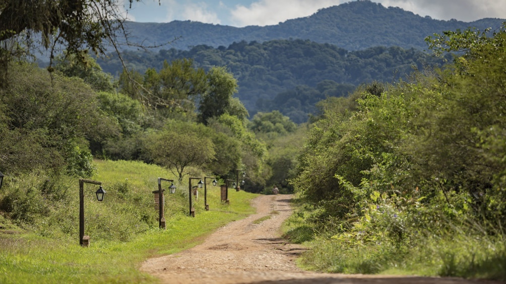 El Parque Nacional El Rey se caracteriza por sus muy cuidados senderos.
